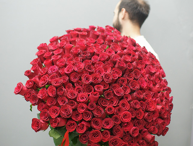 201 Red Roses, 60-70 cm (pre-order, 3 days) photo