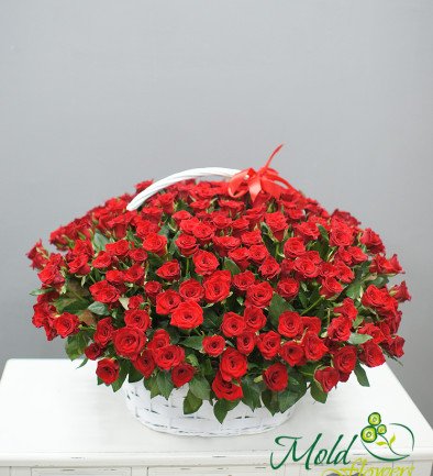 Basket with 301 red roses (pre-order, 3 days) photo 394x433