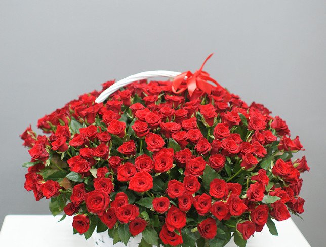 Basket with 301 red roses (pre-order, 3 days) photo