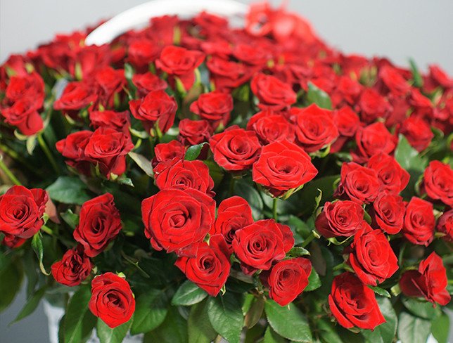 Basket with 301 red roses (pre-order, 3 days) photo