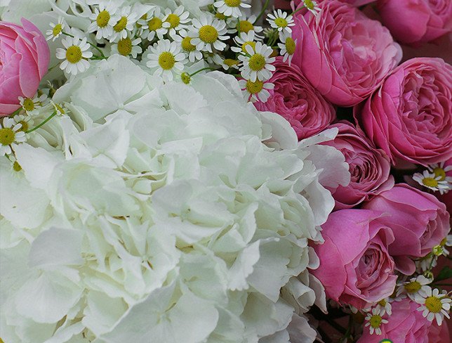 Bouquet of white hydrangeas and Silvia Pink roses photo