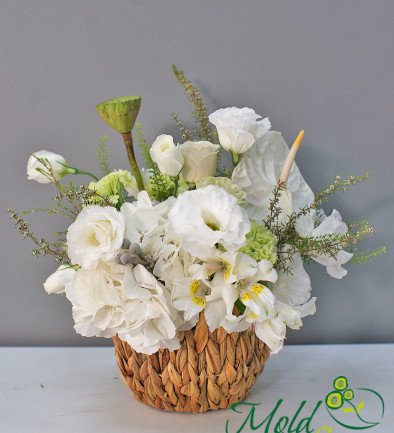 Basket with white hydrangea and anthurium "Artemis" photo 394x433