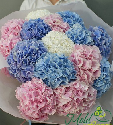 Bouquet of multi-colored hydrangeas photo 394x433