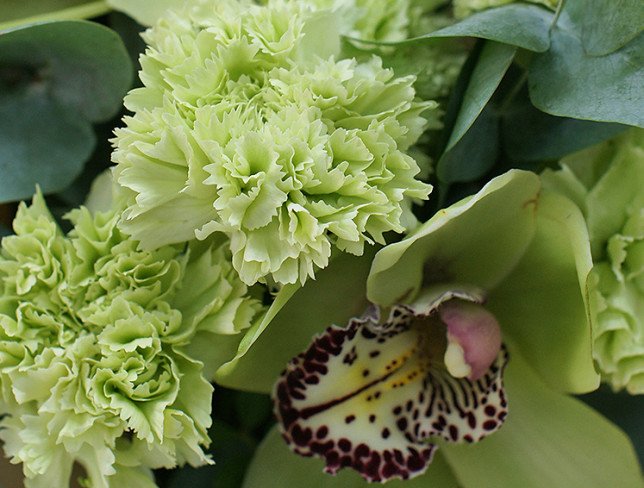 Bouquet of green carnations and orchids photo