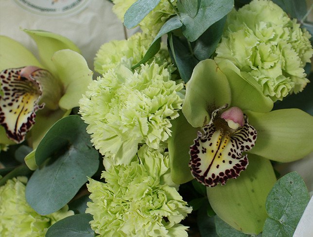 Bouquet of green carnations and orchids photo