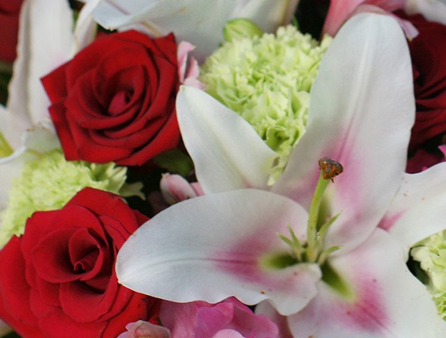 Bouquet of red roses and lilies "Warmth of love" photo