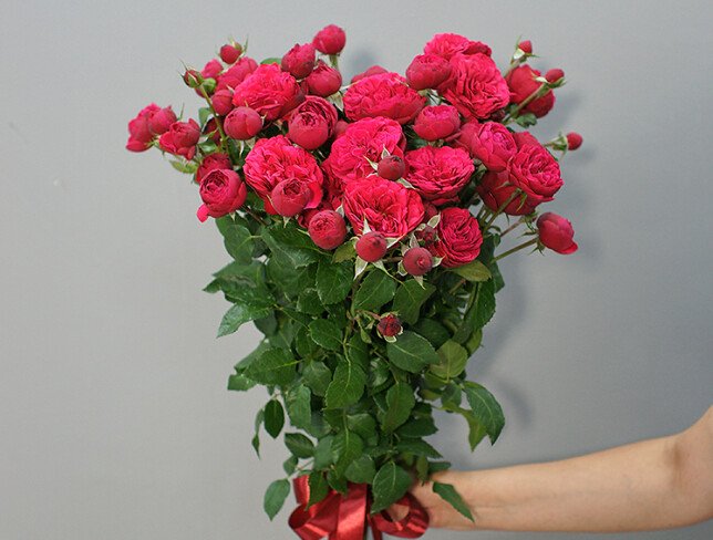 Bouquet of 9 bush roses 