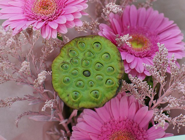 Bouquet of pink gerberas and lotus photo