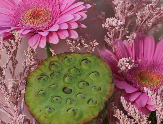 Bouquet of pink gerberas and lotus photo