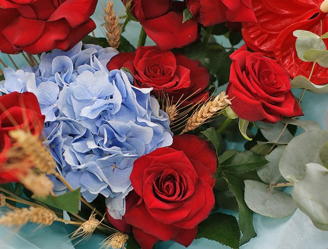 Bouquet of red roses, anthurium and blue hydrangea "Fire and Ice" photo