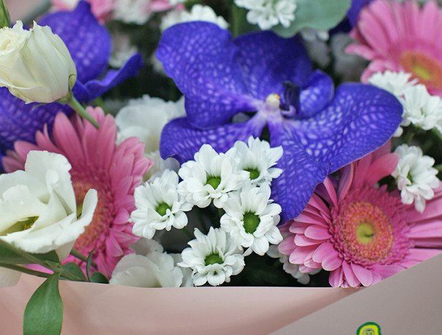 Bouquet of pink gerberas and vanda orchids photo