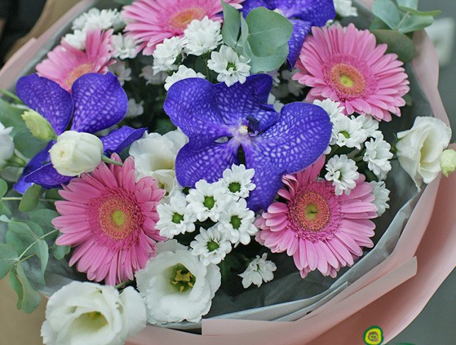 Bouquet of pink gerberas and vanda orchids photo