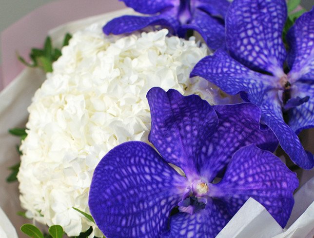 Bouquet of white hydrangea and vanda orchids photo