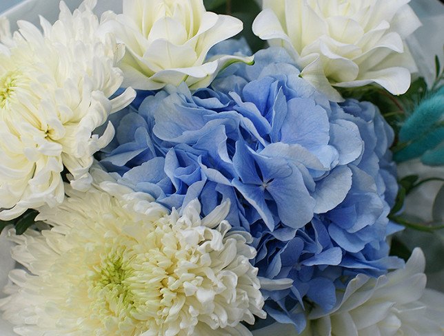 Bouquet with blue hydrangea and white lilies photo