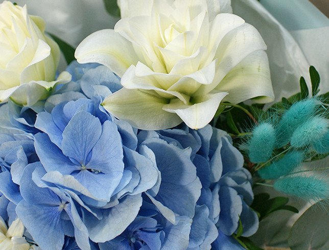 Bouquet with blue hydrangea and white lilies photo