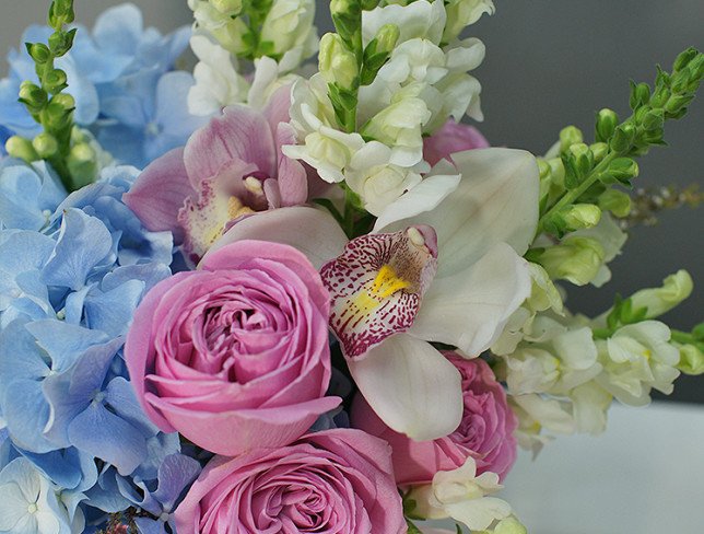 Box with blue hydrangea and pink roses "Sweet dream" photo