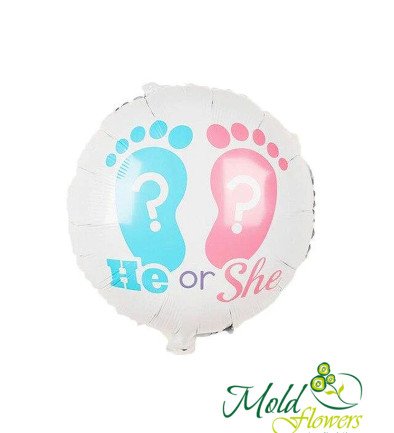 Balloon "He or she" foil with helium photo 394x433