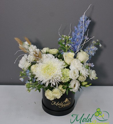 Box with white chrysanthemum and blue delphinium photo 394x433