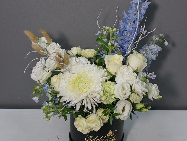 Box with white chrysanthemum and blue delphinium photo