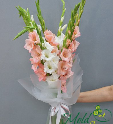 Bouquet of white and pink gladioli "Joy" photo 394x433