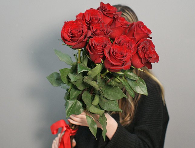 11 Premium Dutch Red Roses 80-90 cm photo