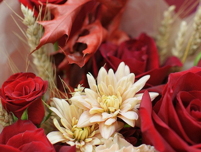 Bouquet of red roses "Flame of love" photo