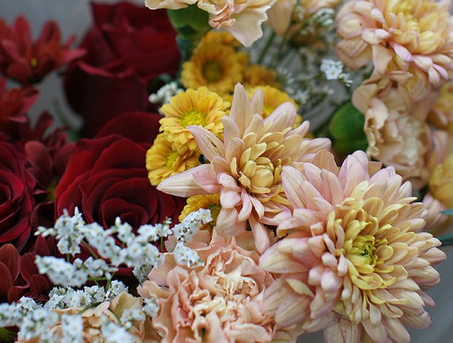 Bouquet of red roses and cream chrysanthemums photo