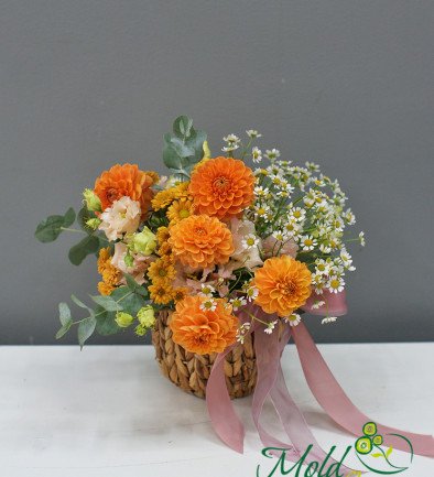 Basket with orange dahlias and chamomile photo 394x433