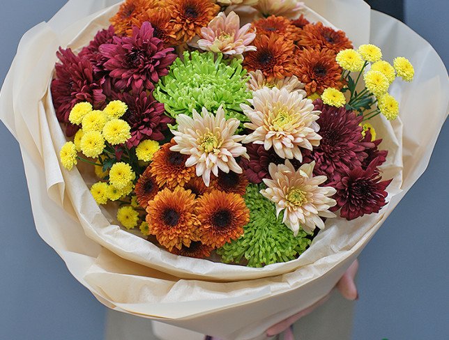 Bouquet of multi-colored chrysanthemums "Golden Symphony" photo