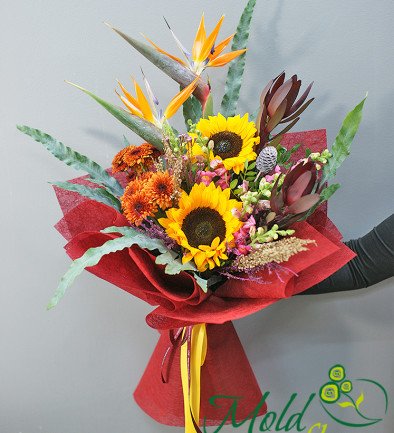 Bouquet of sunflowers and strelitzia "Sunny Tropic" photo 394x433