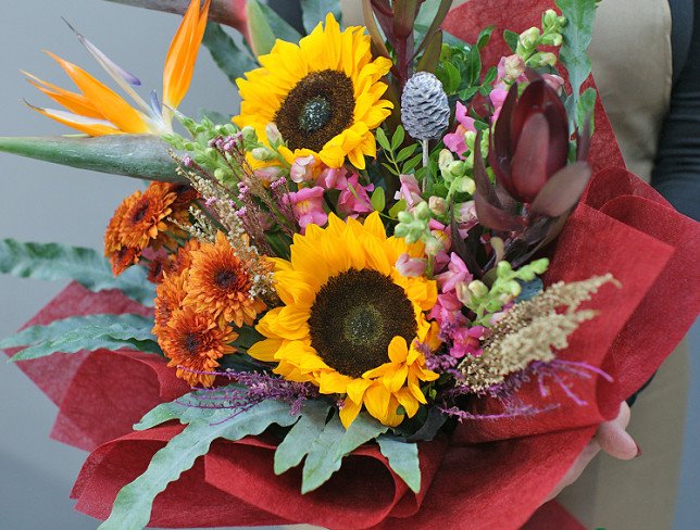 Bouquet of sunflowers and strelitzia "Sunny Tropic" photo