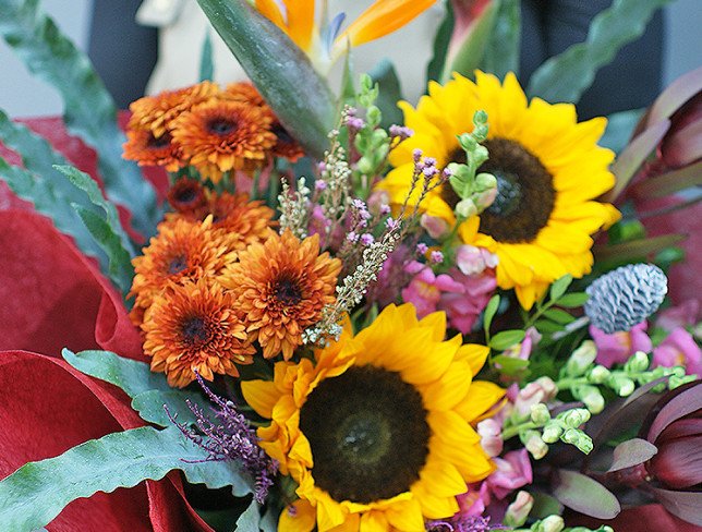 Bouquet of sunflowers and strelitzia "Sunny Tropic" photo