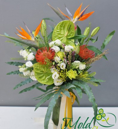 Vaza + Buchet din anthurium verde si strelitzia foto 394x433