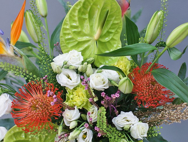 Vase + Bouquet of green anthurium and strelitzia photo