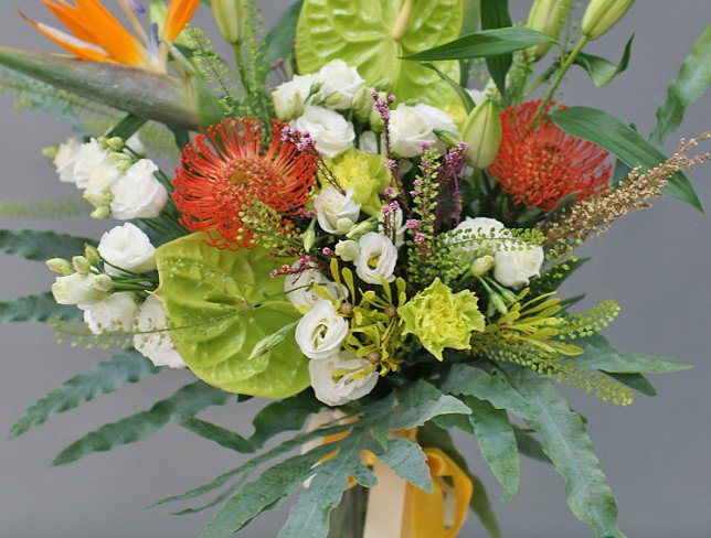 Vase + Bouquet of green anthurium and strelitzia photo