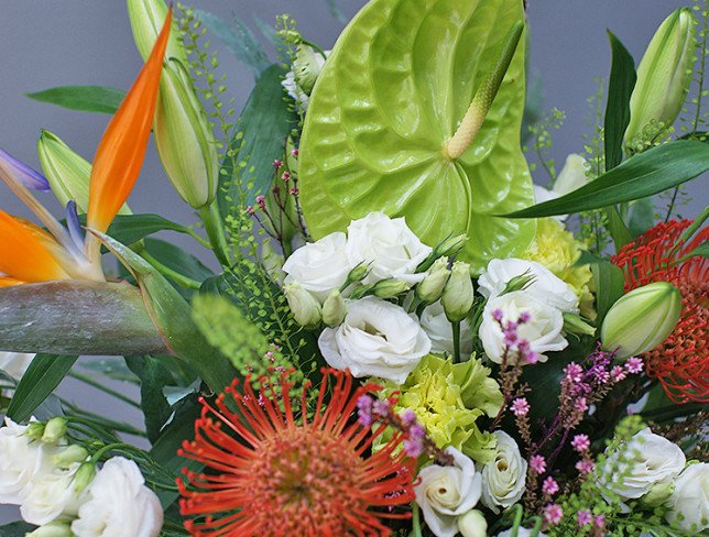 Vase + Bouquet of green anthurium and strelitzia photo