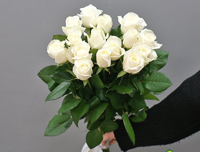 15 white roses 60-70 cm photo