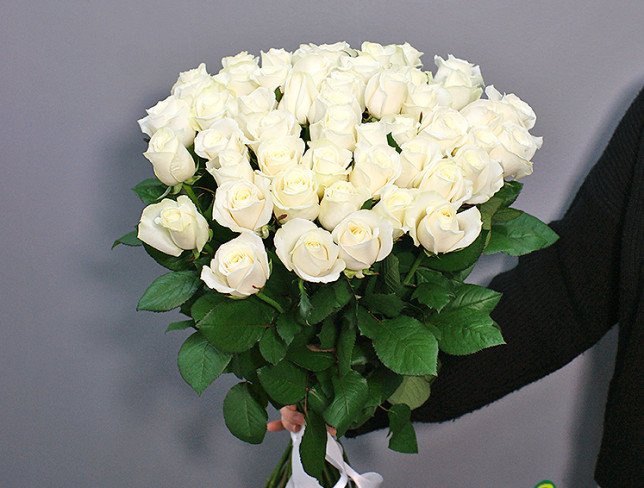 51 white roses 60-70 cm photo