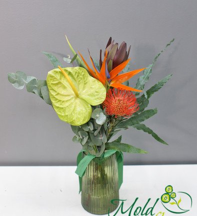 Vase + Bouquet of Strelitzia and Anthurium "Tropical Harmony" photo 394x433