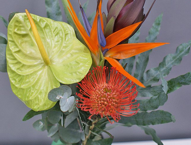 Vază + Buchet din strelitzia și anthurium "Armonie Tropicală" foto