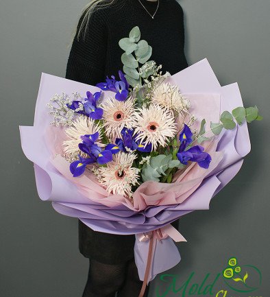 Bouquet of purple irises and gerberas photo 394x433