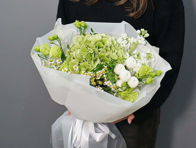 Bouquet of green hydrangea "Lime cloud" photo