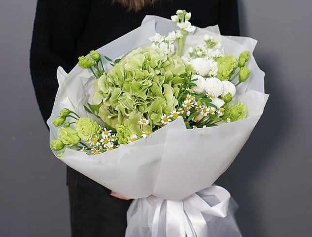 Bouquet of green hydrangea "Lime cloud" photo