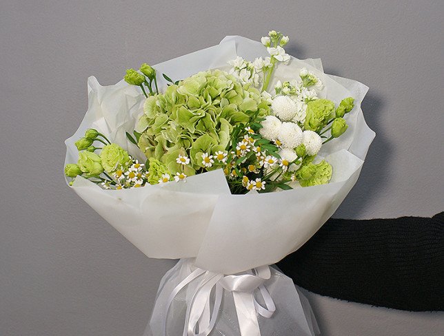 Bouquet of green hydrangea "Lime cloud" photo