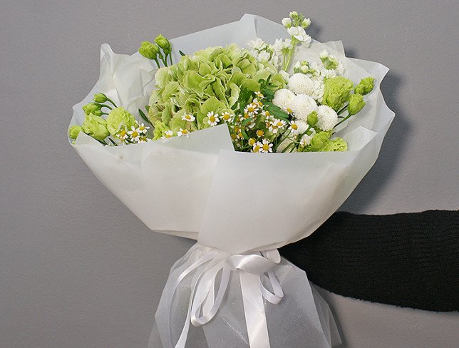 Bouquet of green hydrangea "Lime cloud" photo