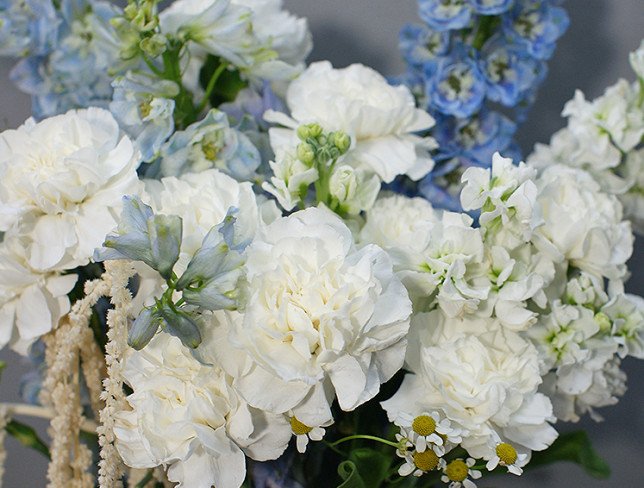 Bouquet of white carnations and blue delphinium photo