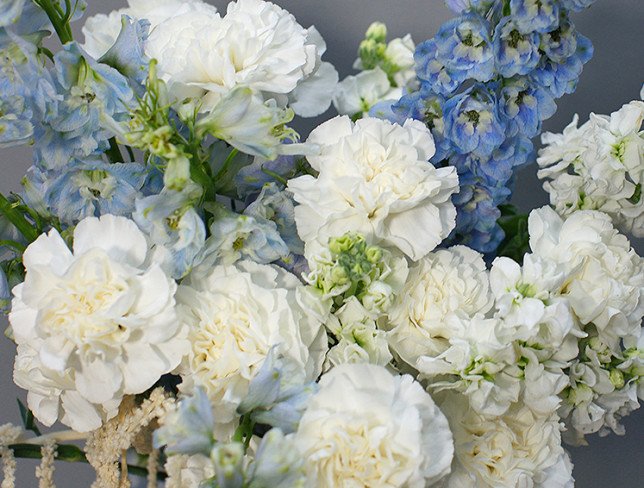 Bouquet of white carnations and blue delphinium photo