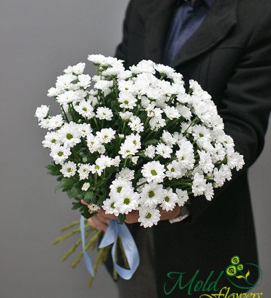 Bouquet of 15 branches of white chrysanthemums photo 394x433