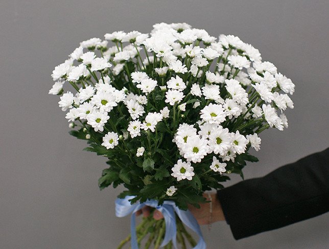 Bouquet of 15 branches of white chrysanthemums photo