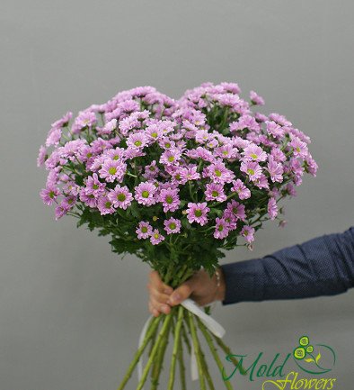 Bouquet of 15 branches of pink chrysanthemums photo 394x433